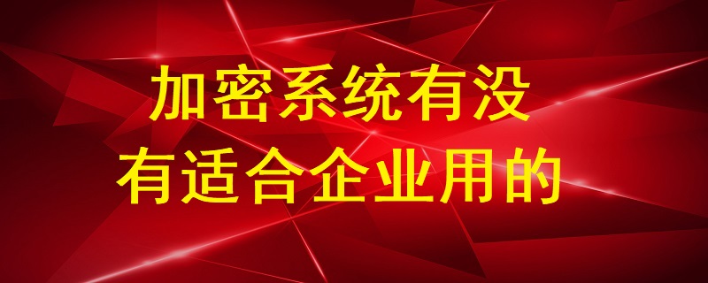 加密系統(tǒng)有沒有適合企業(yè)用的？