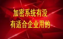 加密系統(tǒng)有沒有適合企業(yè)用的？